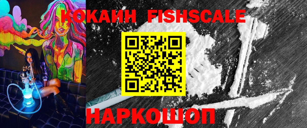 Электрогорск  COCAIN Fish Scale  Вход с VPN 