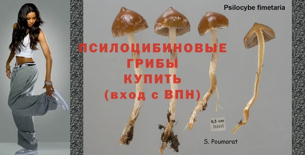 молекула духа Алзамай