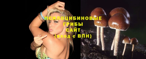 молекула духа Алзамай