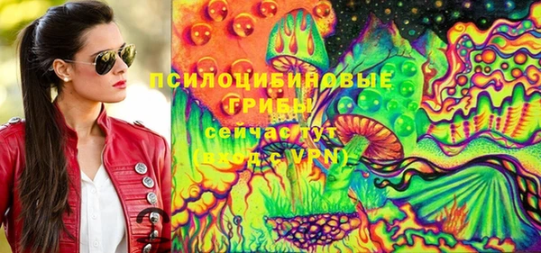 молекула духа Алзамай