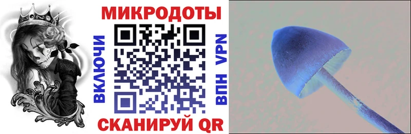 мориарти наркотические препараты  Электрогорск  Псилоцибиновые грибы мицелий 