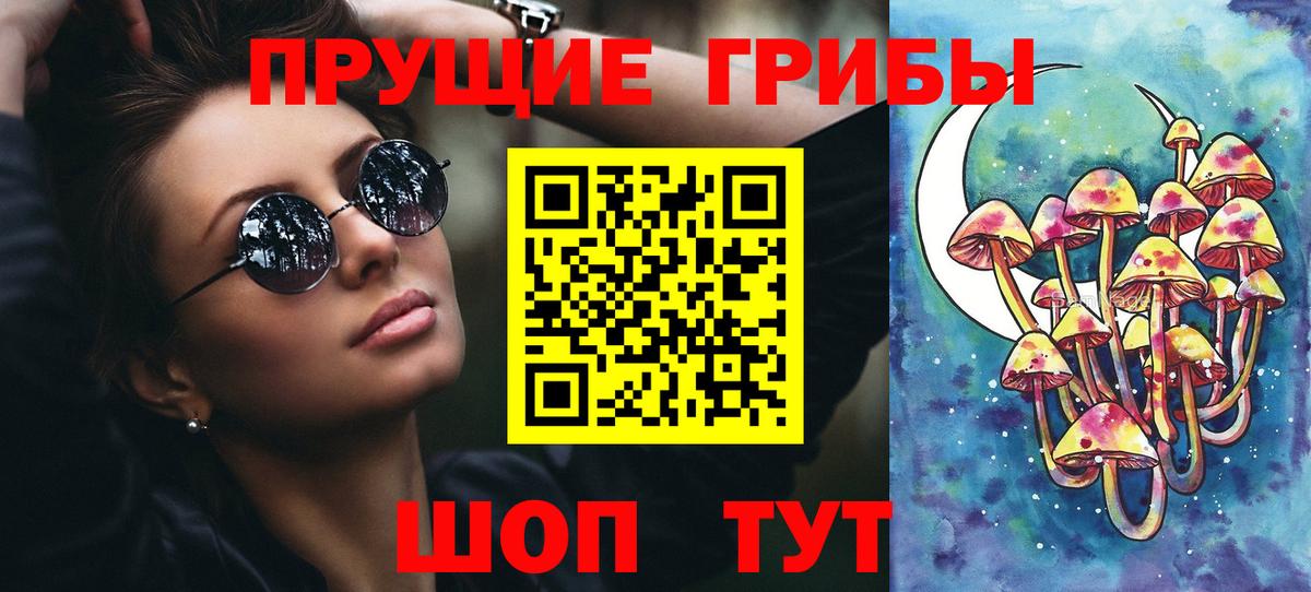 Электрогорск  Галлюциногенные грибы ЛСД  Галлюциногенные грибы Psilocybe  Вход с VPN 